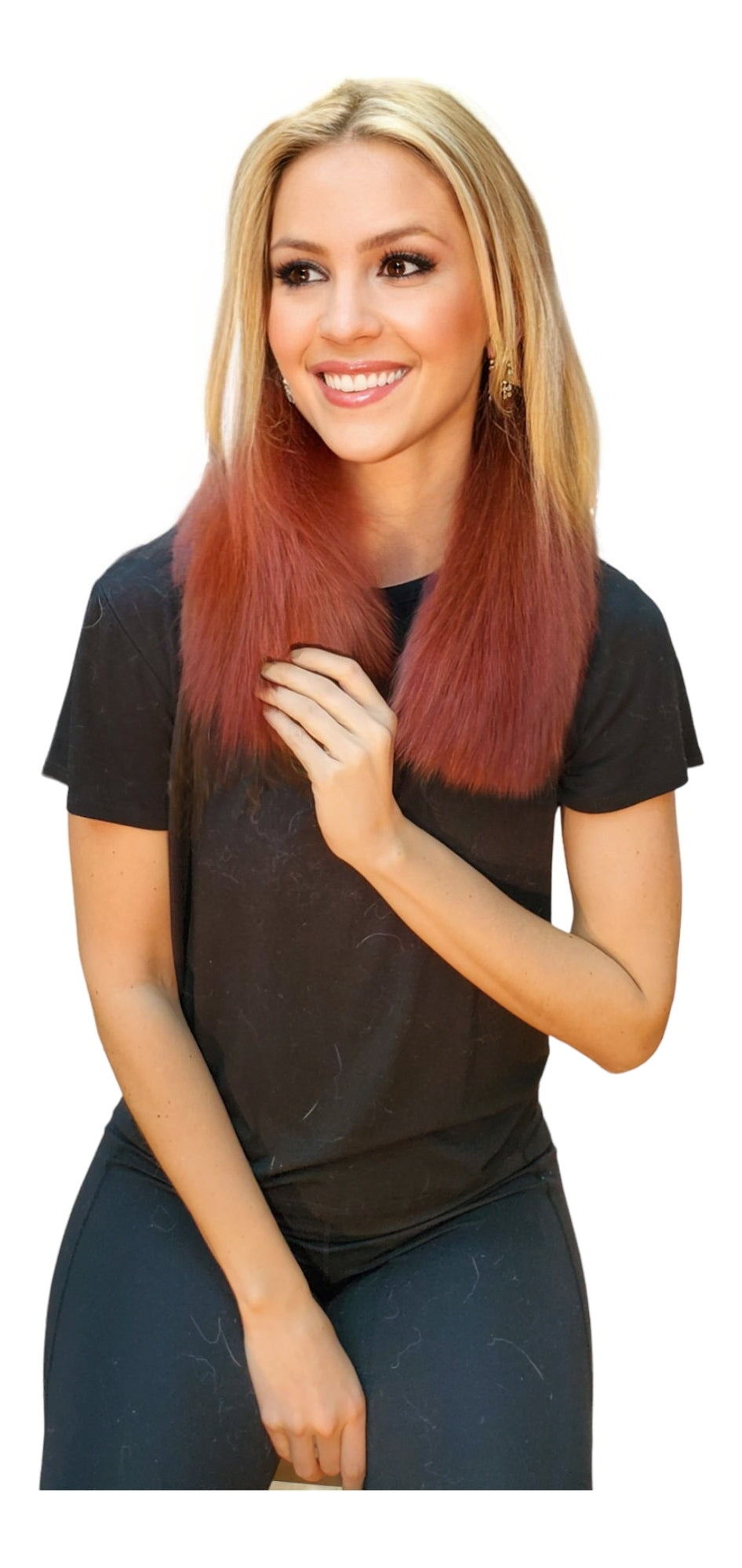 Collar Style FC002 Burgundy